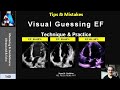 Visual guessing ejection fraction technique  practice