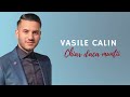 VASILE CALIN - CHIAR DACA MUNTII S-AR CUTREMURA