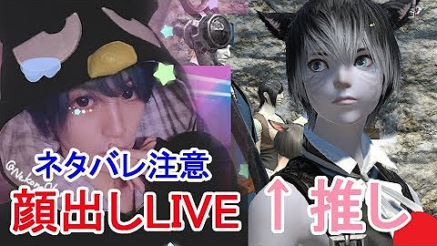 Nekonechamねこねちゃむ Youtube