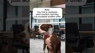 POV: The Perfect Candidate Accepted Another Offer 😭