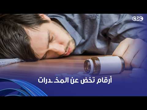 331 Million People Worldwide Used Drugs in Just One Year! Noha Abu Setta and Alarming Statistics ...