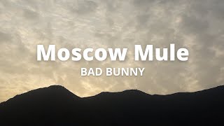 Bad Bunny | Moscow Mule (VideoLyric)