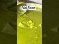 🥬 Palak Paneer Recipe | Dhaba Style Palak Paneer | Easy &amp; Tasty Recipe