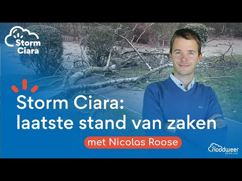 [LIVE] FORSE WINDSTOTEN VANAVOND TIJDENS BUIEN