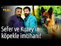 Kuzey yldz lk ak  sefer ve kuzeyin kpekle mtihan