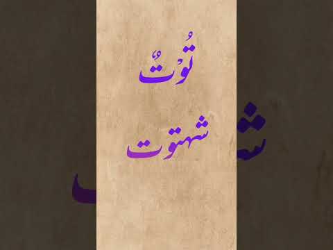 پھلوں کے نام عربی میں