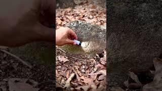 A Fieldstone Grave Marked Only ‘Mary’—Likely Enslaved