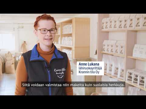 Video: Terve Kaurahiutaleiden Resepti