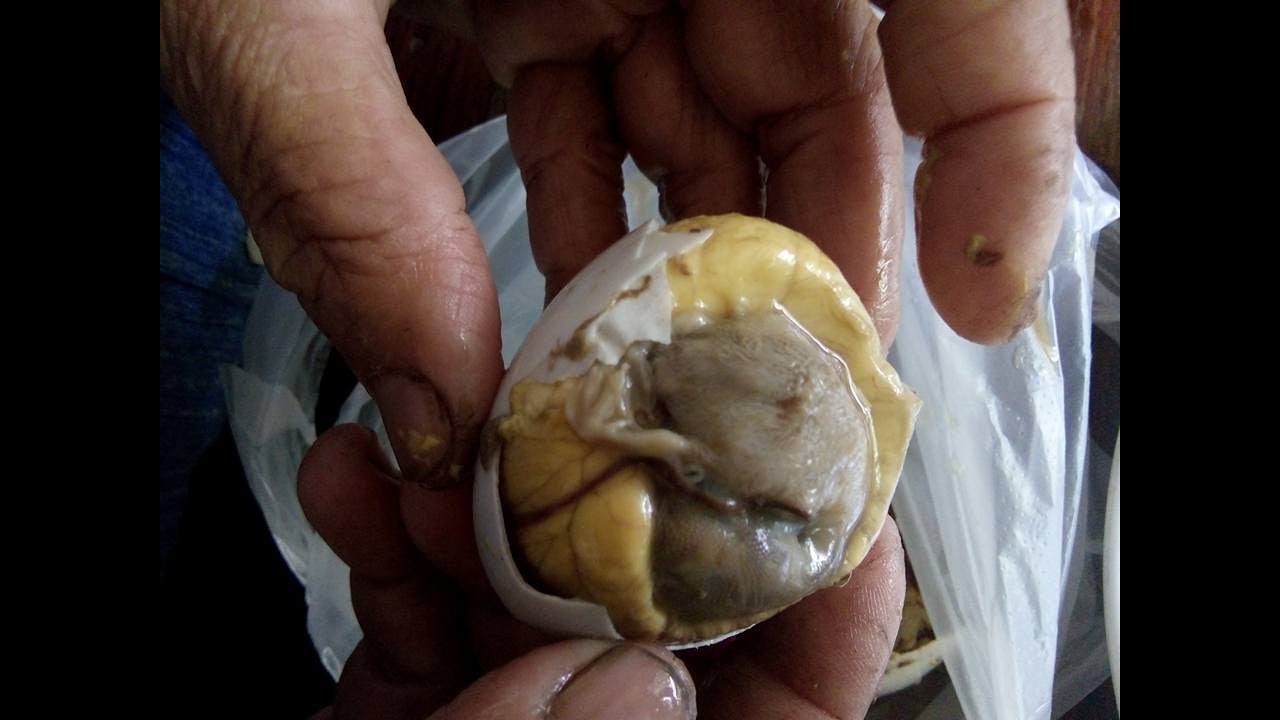 Laos Try Balut , Fertilised duck eggs (Duck Embryo) YouTube