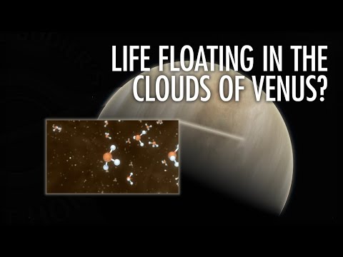 Video: Scientists Do Not Exclude Life On Venus - Alternative View