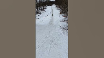 Polaris snowmobile 2020