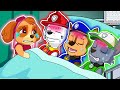 Paw patrol please wake up them  skye is so sad  paw patrol ultimate rescue missions  rainbow 3