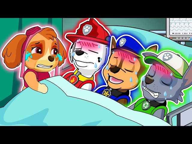 PAW Patrol Please Wake Up Them , SKYE is So SAD ? PAW Patrol Ultimate Rescue Missions | Rainbow 3 class=