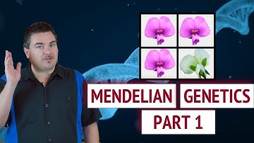 Mendelian Genetics - Part 1