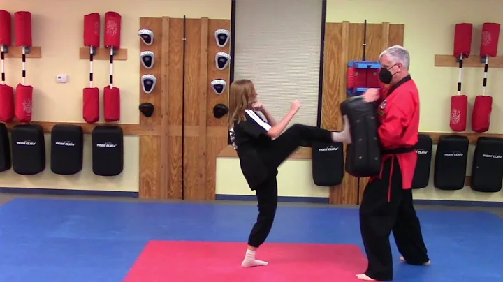 Introductory Course Skill Tutorial: Front Snap Kick.