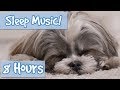 The Ultimate Dog Sleep Soundtrack! Soothing Tones, Relaxing Music to Calm Dogs and Relieve Anxiety🐶