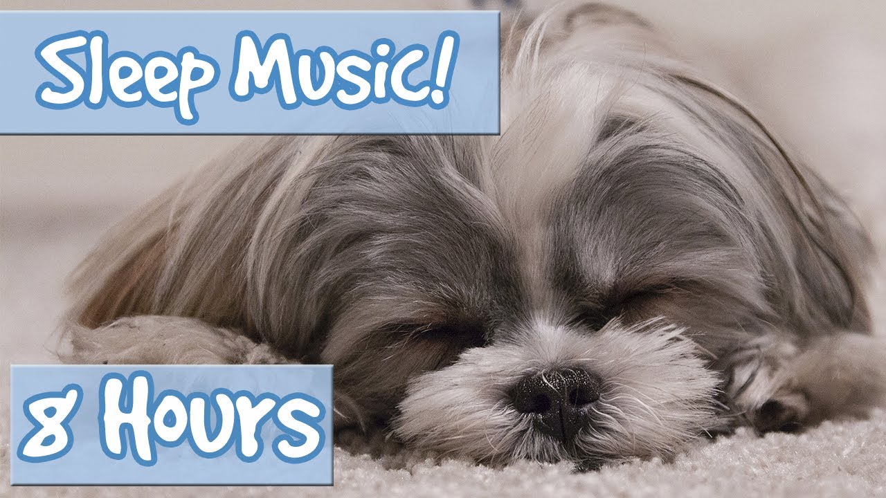 best music for puppies to sleep