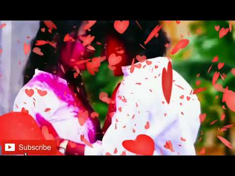 Romantic holi