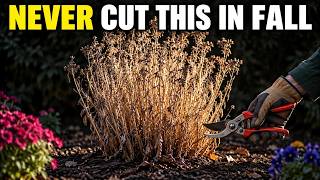9 Perennials You Must NEVER Cut to the Ground in Fall (You're Killing Them)