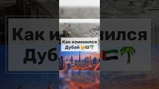 🇦🇪 Как живут и как переехать в Дубай и ОАЭ🌴. Как развивался Дубай #slavaistek