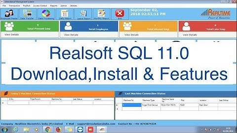 Realsoft SQL 11.0, download and install.