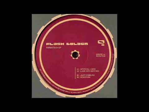 Flash Golden — Flash Golden ‎– Artificial Lungs (2004)