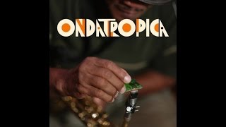 Ondatrópica - Bogotá chords