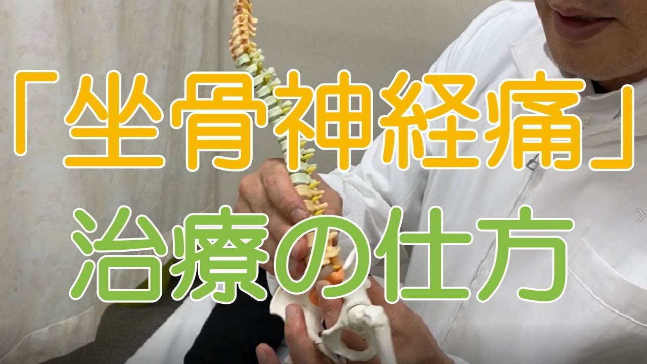 坐骨神経痛 サンテ整骨院 福岡市 博多区 Youtube 坐骨神経痛 サンテ整骨院 福岡市 博多区 Youtube