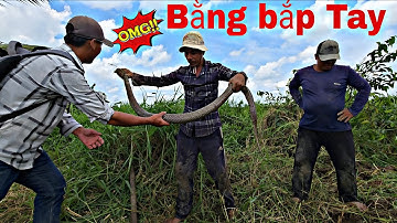 Cả Nhóm Run Sợ Khi Bắt Được Con Rắn Hổ Mang To Bằng Bắp Tay || Tâm Vện Vlog# 22