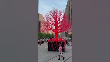 Thumbnail of The High Line #nyc