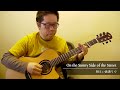 On the Sunny Side of the Street / Daisuke Minamizawa (acoustic guitar solo) 明るい表通りで／南澤大介