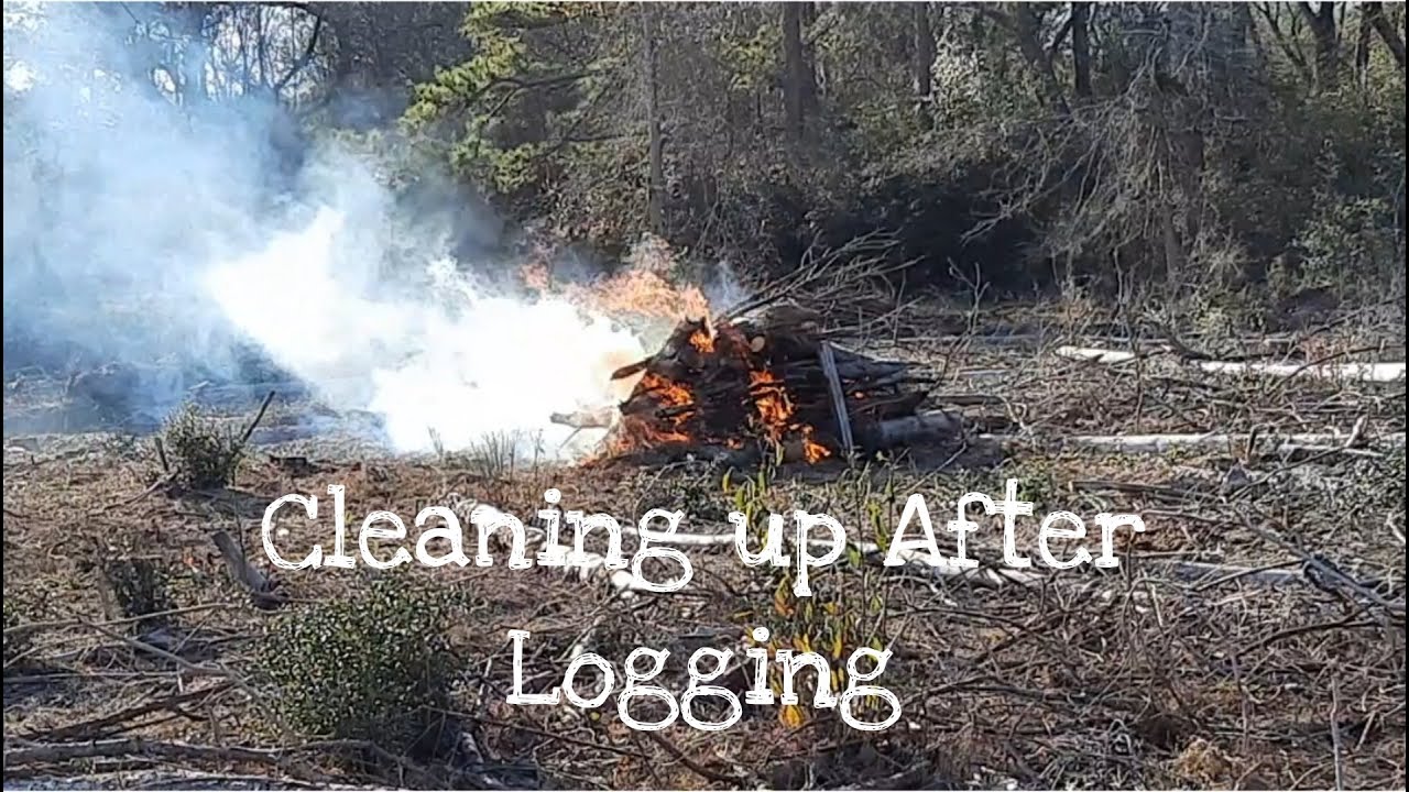 Burning Brush - Clean Up Continues - YouTube
