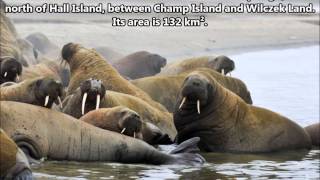 RI1FJ Heiss Island Franz Josef Land. From dxnews.com