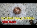 Lâm Vlog - Luộc Trứng và Tắm Suối Nước Nóng Bình Châu | Suối Nước Nóng Tự Nhiên Ở Việt Nam