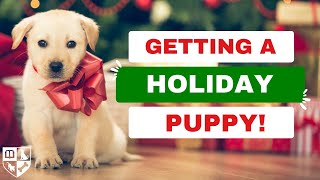 Preparing for a Holiday Puppy - A Dunbar Academy Quick Tip by Dunbar Academy 1,415 views 4 months ago 6 minutes, 48 seconds