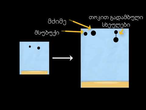 ვარდნის ამბავი