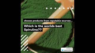 SpirulinaHub Nature s gift for healthy world