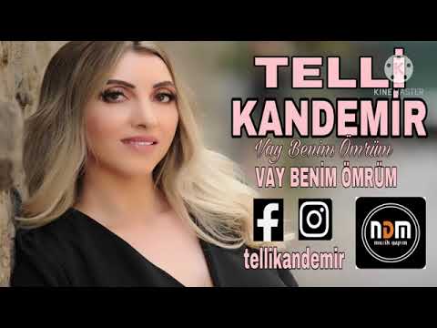 Telli Kandemir - Vay Benim Ömrüm 2022