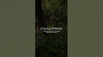 سورة إبراهيم الآية (24/25) #ألم_تر_كيف_ضرب_الله_مثلاً #القارئ_جابر_القيطان