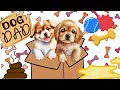 Puppy QuestSims Mobile FreePlay GameplaySiMlet