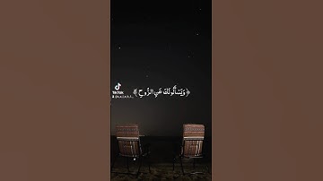 فارس عباد #قران #تلاوات_خاشعة