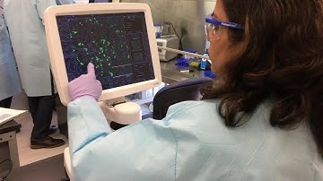 Peek inside the CRISPR Workshop