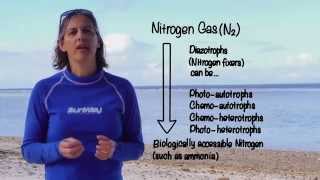 UQx TROPIC101x 3.1.3 - Nutrient Cycles part 3