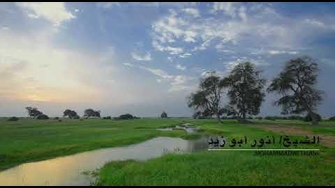 ماتيسر من سورة آل عمران / د. انور صالح ابوزيد