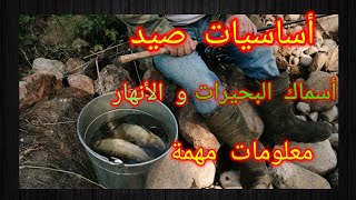 صيد أسماك البحيرات و الأنهار ، معلومات مهمة .