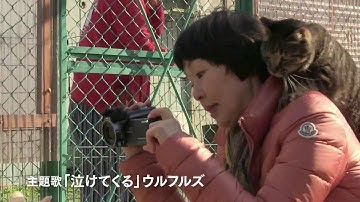 映画『犬に名前をつける日』予告編/2015年10月31日シネスイッチ銀座ほか全国順次ロードショー