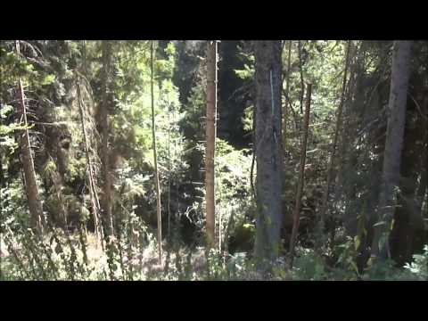 წაღვერი 2014 Tsaghveri