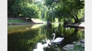 Фотоальбом.Західна Україна.Photo. Western Ukraine.