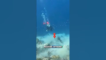 Divers Caught in 7.2 Magnitude Earthquake Underwater Chaos Caught on Camera!