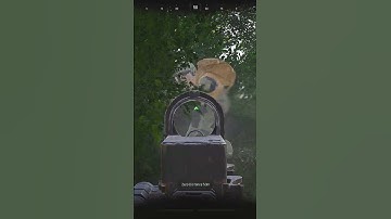 New season new rat spots #arenabreakoutinfinite #arenabreakout